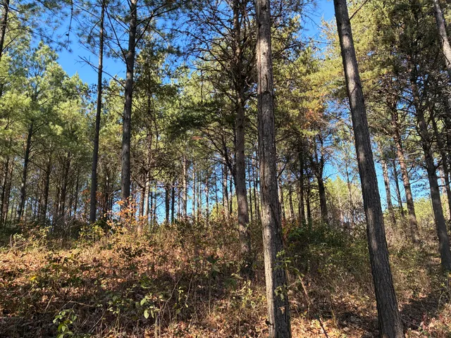 $499,000 | 4690 Split Rail Way, Unit 1359, Whiteside, TN 37396