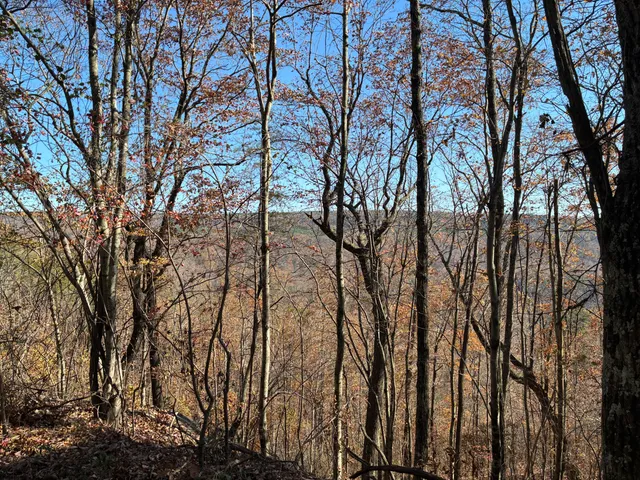 $499,000 | 4690 Split Rail Way, Unit 1359, Whiteside, TN 37396