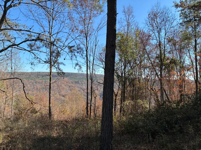 $499,000 | 4690 Split Rail Way, Unit 1359, Whiteside, TN 37396