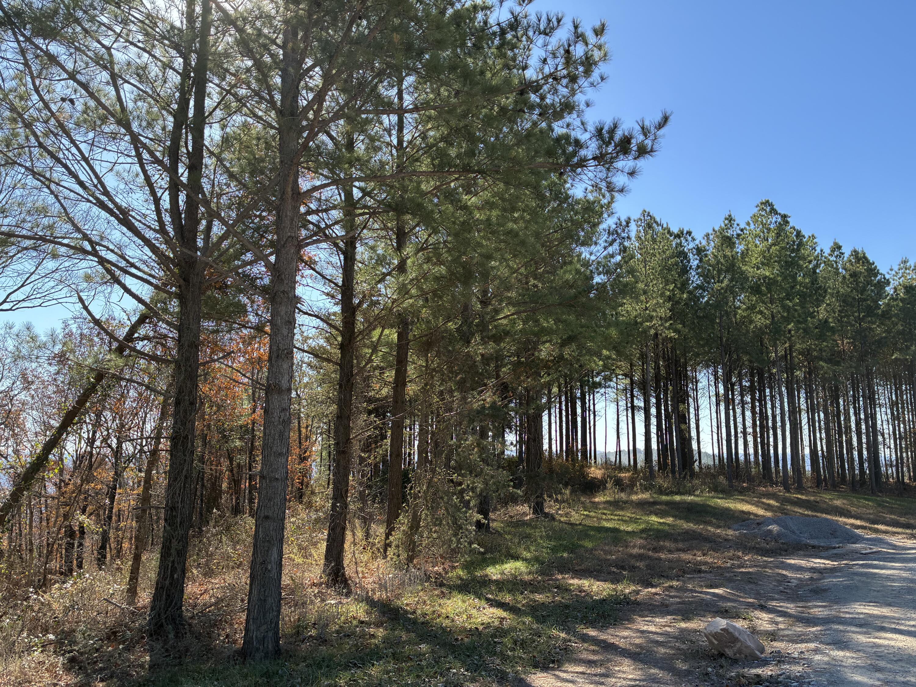 4690 Split Rail Way, Unit 1359 Whiteside, TN 37396 - Photo 25 of 43 IMG_2915