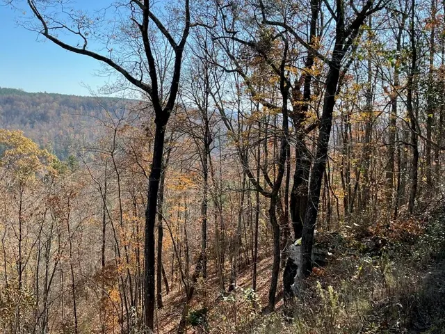 $499,000 | 4690 Split Rail Way, Unit 1359, Whiteside, TN 37396