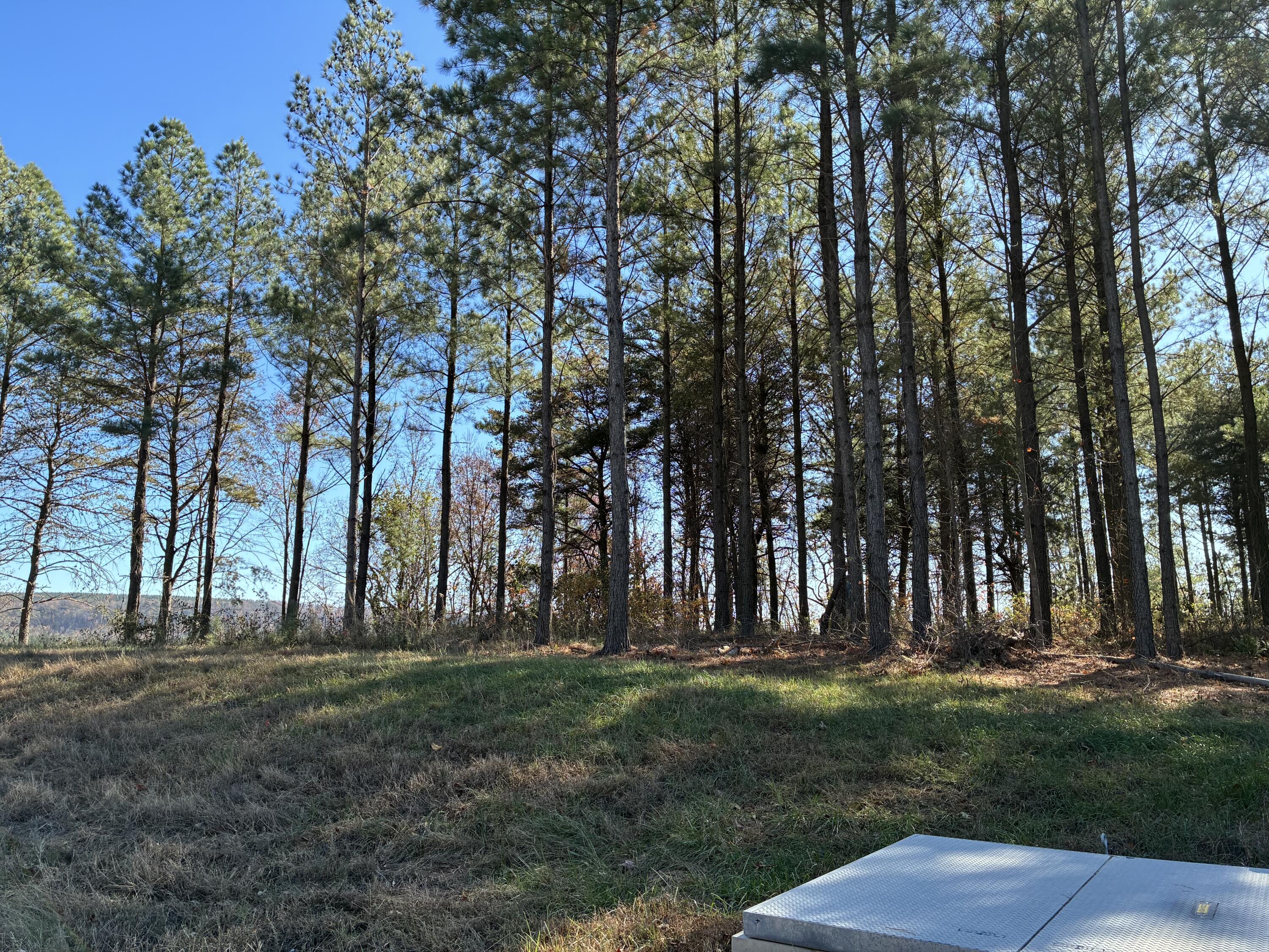 4690 Split Rail Way, Unit 1359 Whiteside, TN 37396 - Photo 28 of 43 IMG_2920