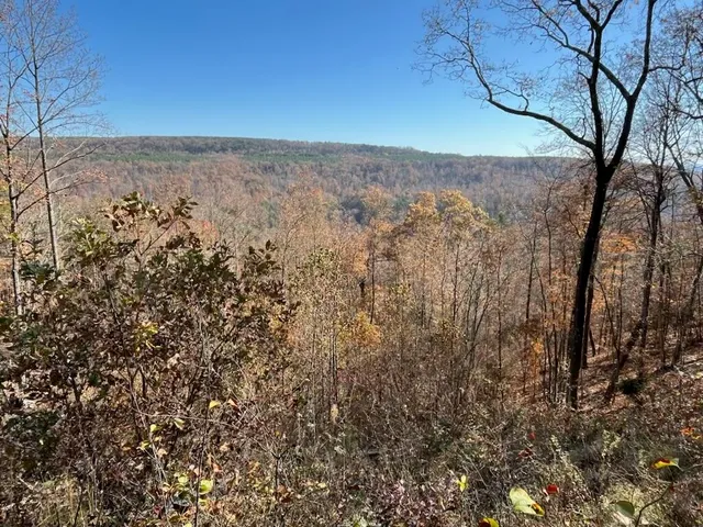 $499,000 | 4690 Split Rail Way, Unit 1359, Whiteside, TN 37396