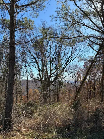 $499,000 | 4690 Split Rail Way, Unit 1359, Whiteside, TN 37396