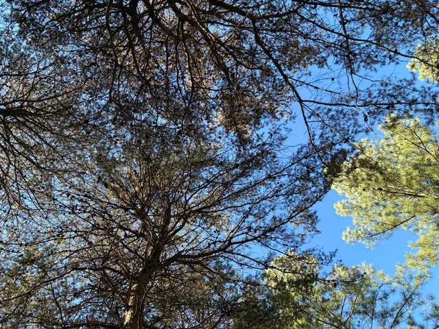 $499,000 | 4690 Split Rail Way, Unit 1359, Whiteside, TN 37396