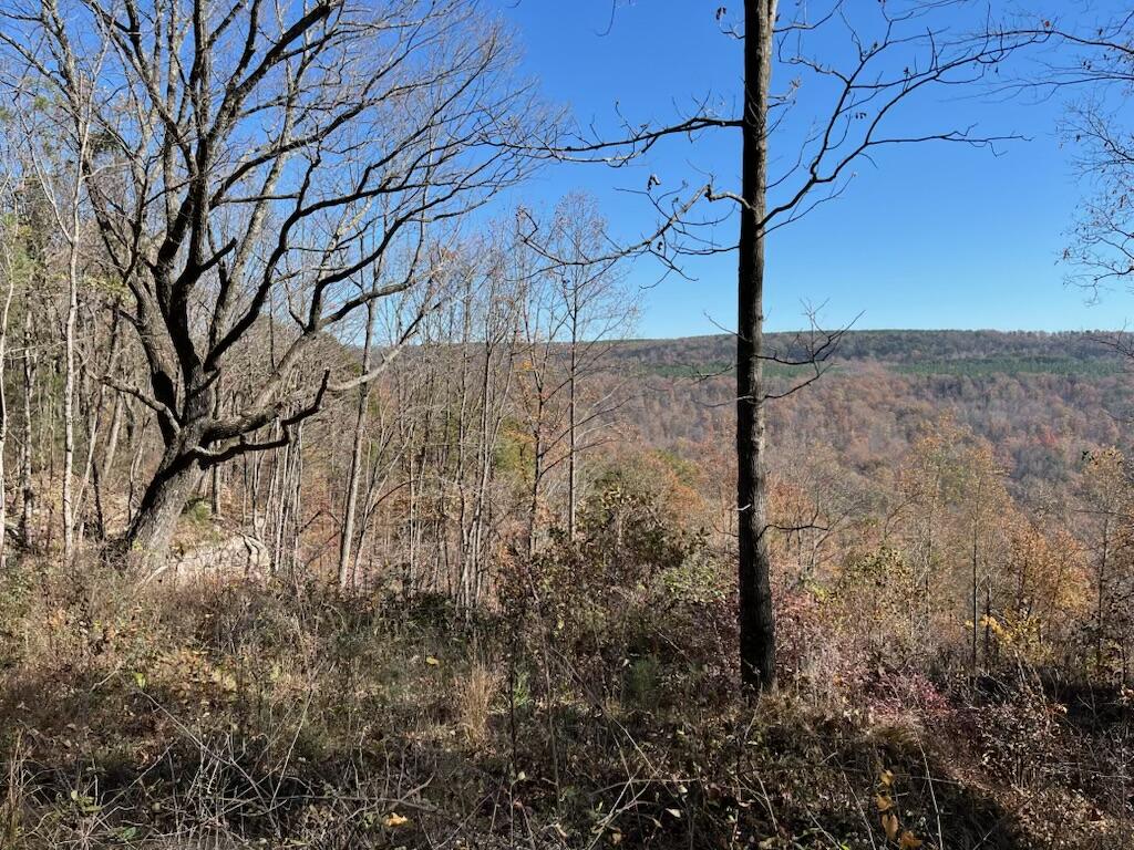 4690 Split Rail Way, Unit 1359 Whiteside, TN 37396 - Photo 38 of 43 IMG_3111