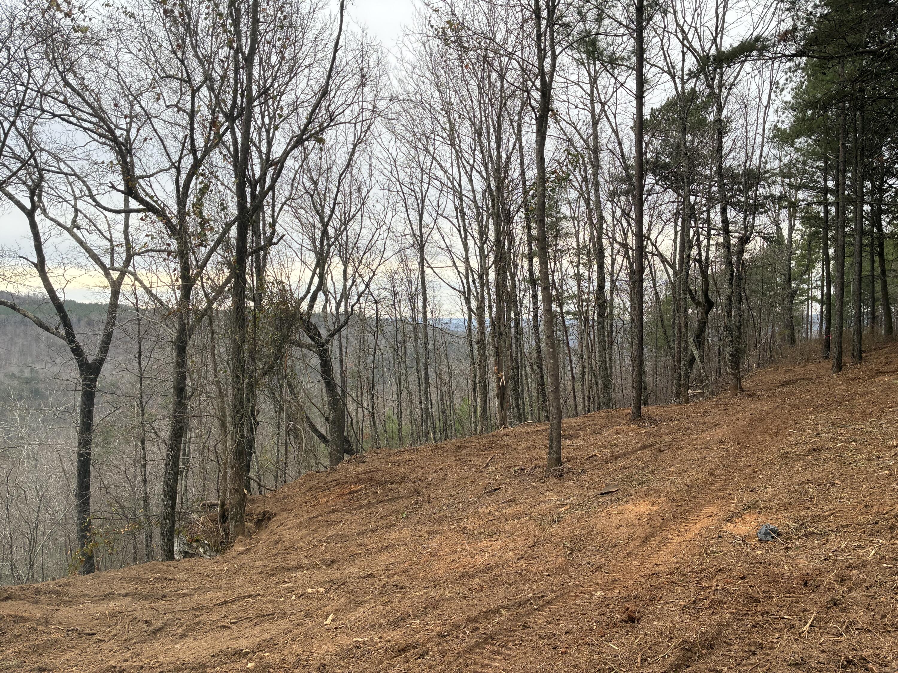 4690 Split Rail Way, Unit 1359 Whiteside, TN 37396 - Photo 4 of 43 IMG_3908