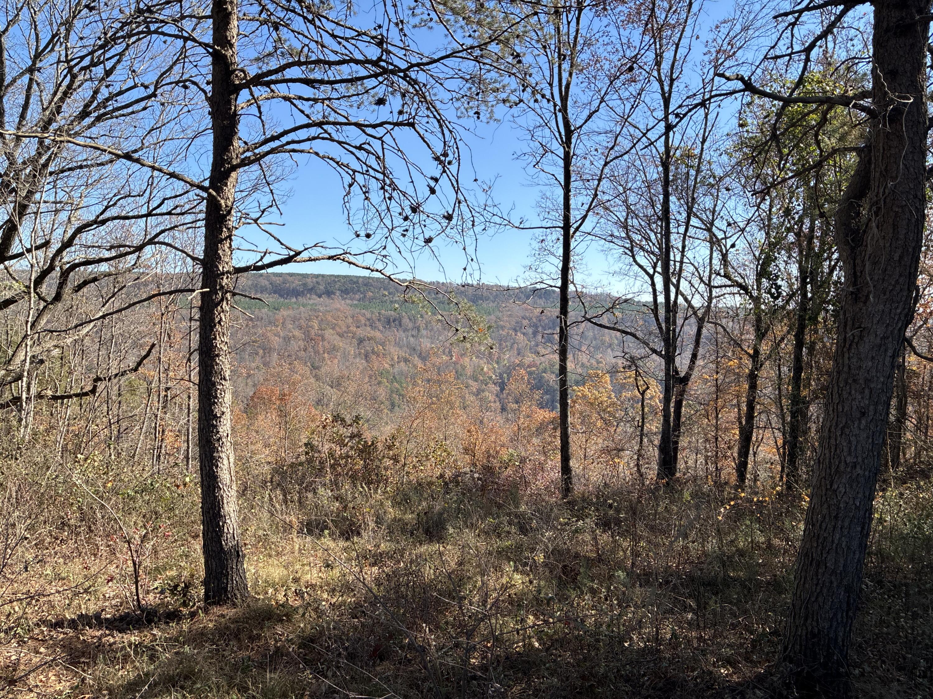 4690 Split Rail Way, Unit 1359 Whiteside, TN 37396 - Photo 43 of 43 IMG_2932