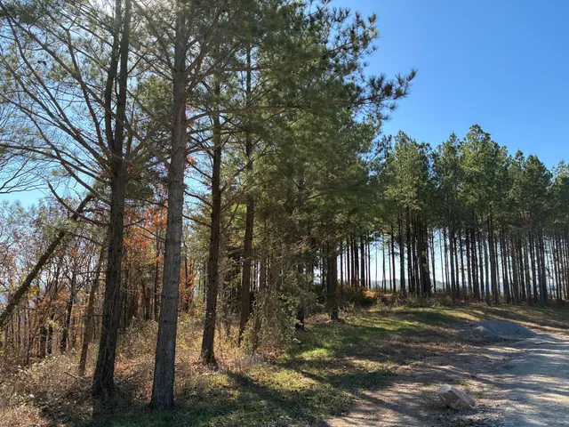 $499,000 | 4690 Split Rail Way, Unit 1359, Whiteside, TN 37396