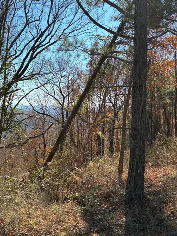 $499,000 | 4690 Split Rail Way, Unit 1359, Whiteside, TN 37396