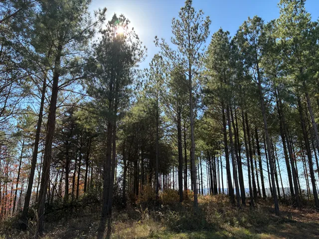 $499,000 | 4690 Split Rail Way, Unit 1359, Whiteside, TN 37396