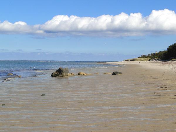 289 Harwich Road Brewster, MA 02631 - Photo 7 of 35 Cape Cod Bay