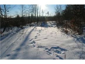 0 Rockhouse Mountain Road Conway, NH 03818 - Photo 2 of 7