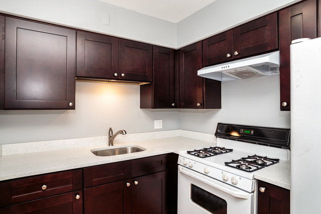 601 Highview Avenue Addison, IL 60101 - Photo 44 of 50 a kitchen with granite countertop stainless steel appliances a sink a stove and cabinets