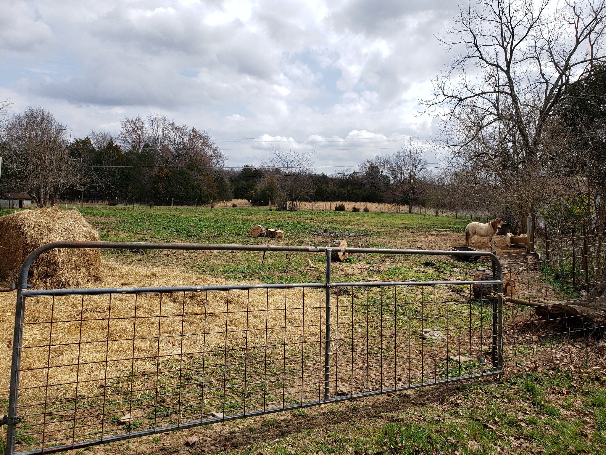 106 Sims Spring Road Lewisburg, TN 37091 - Photo 11 of 15 Gallery Image 11