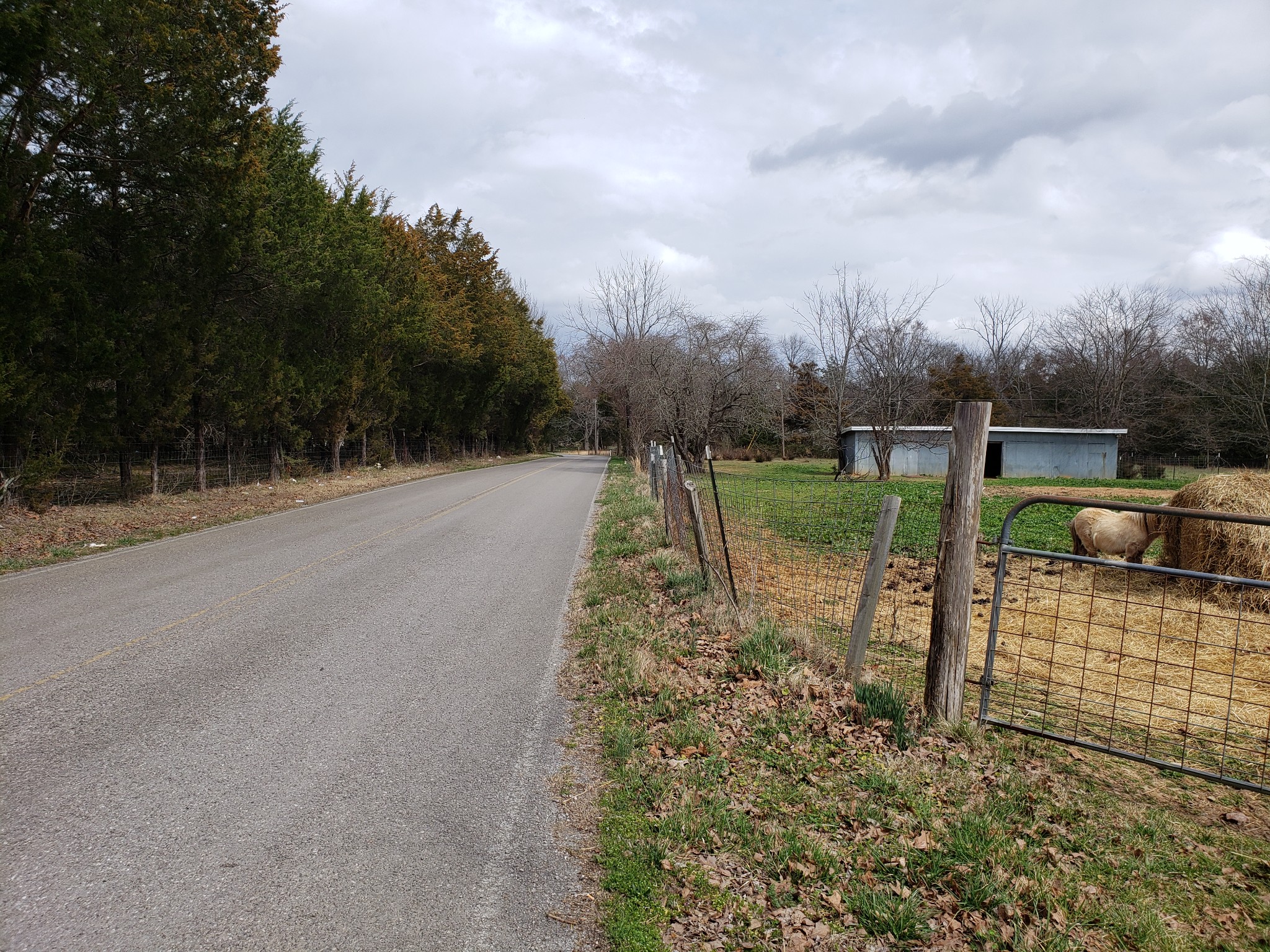 106 Sims Spring Road Lewisburg, TN 37091 - Photo 12 of 15 Gallery Image 12