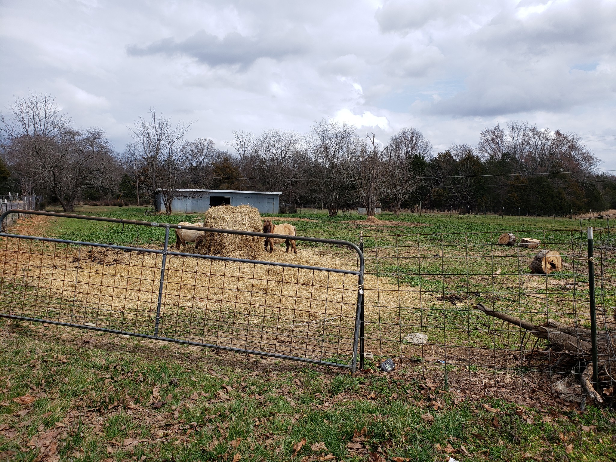 106 Sims Spring Road Lewisburg, TN 37091 - Photo 13 of 15 Gallery Image 13