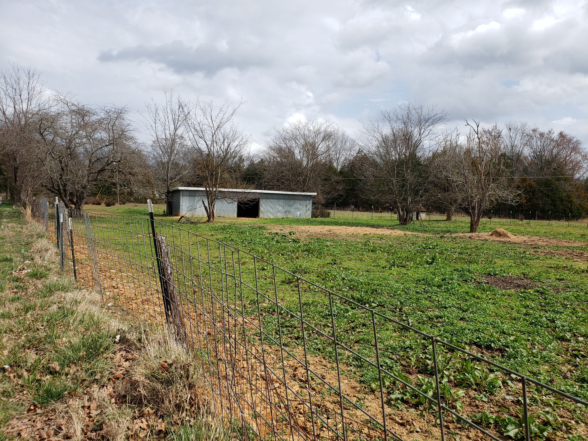 106 Sims Spring Road Lewisburg, TN 37091 - Photo 15 of 15 Gallery Image 15