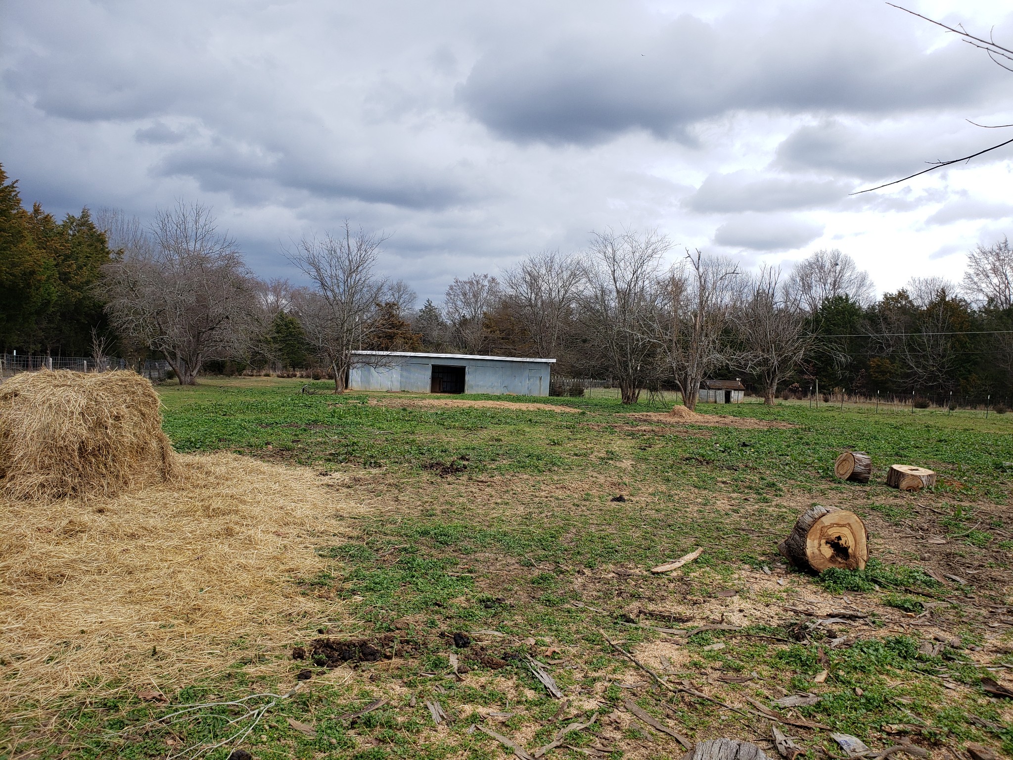 106 Sims Spring Road Lewisburg, TN 37091 - Photo 10 of 15 Gallery Image 10