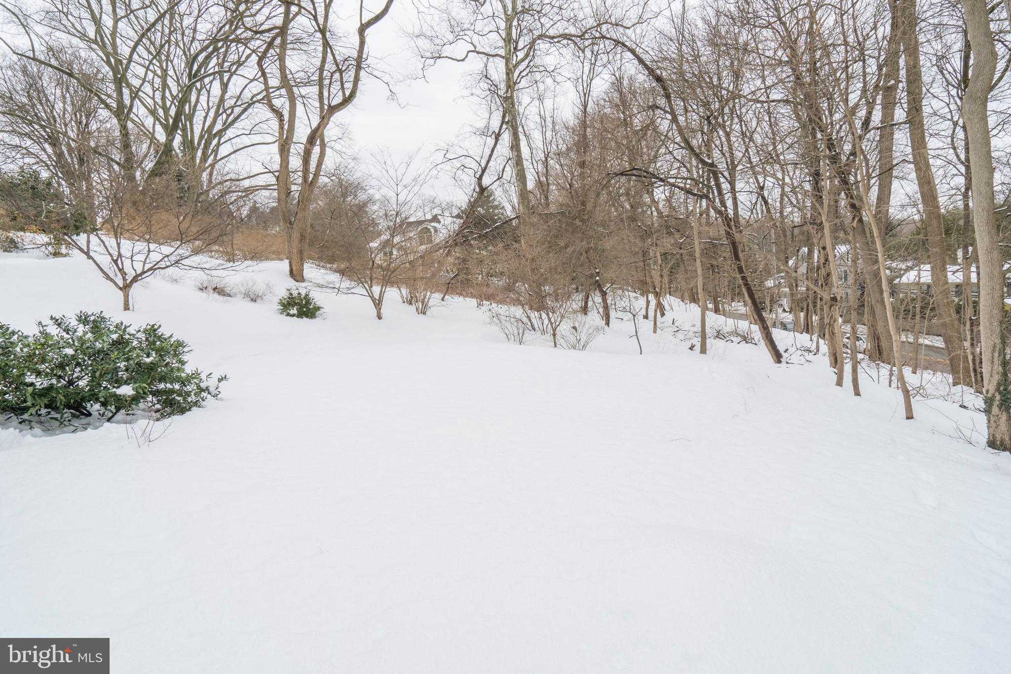 610 Newtown Road Villanova, PA 19085 - Photo 47 of 47 Yard
