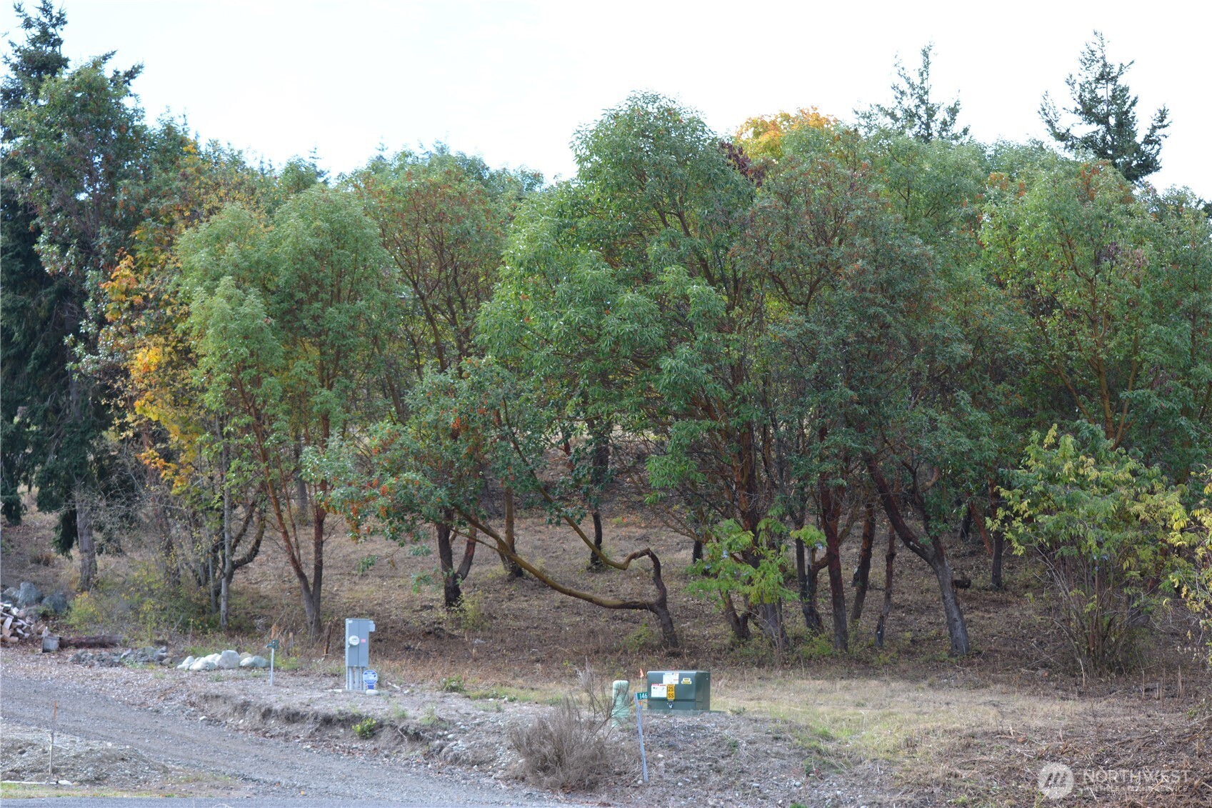 999 Moonlight Drive Sequim, WA 98382 - Photo 12 of 17 a view of a forest with trees in the background