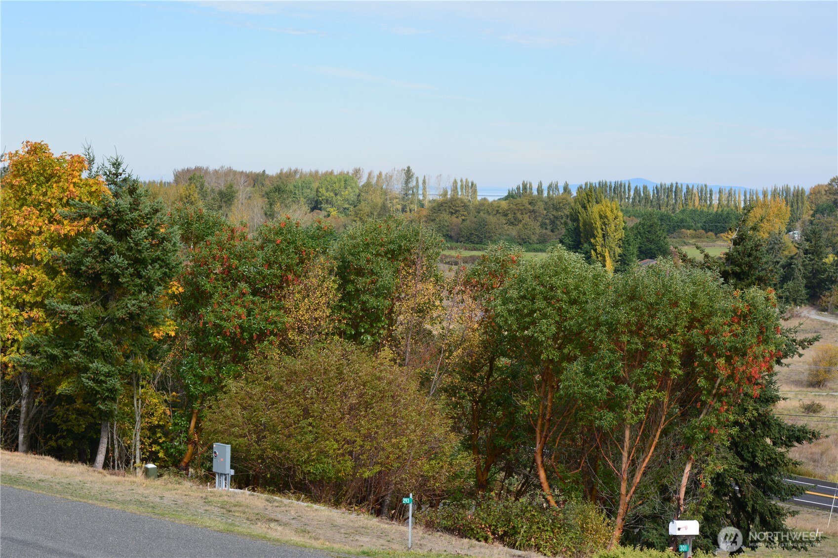 999 Moonlight Drive Sequim, WA 98382 - Photo 16 of 17 a view of a city with lush green forest