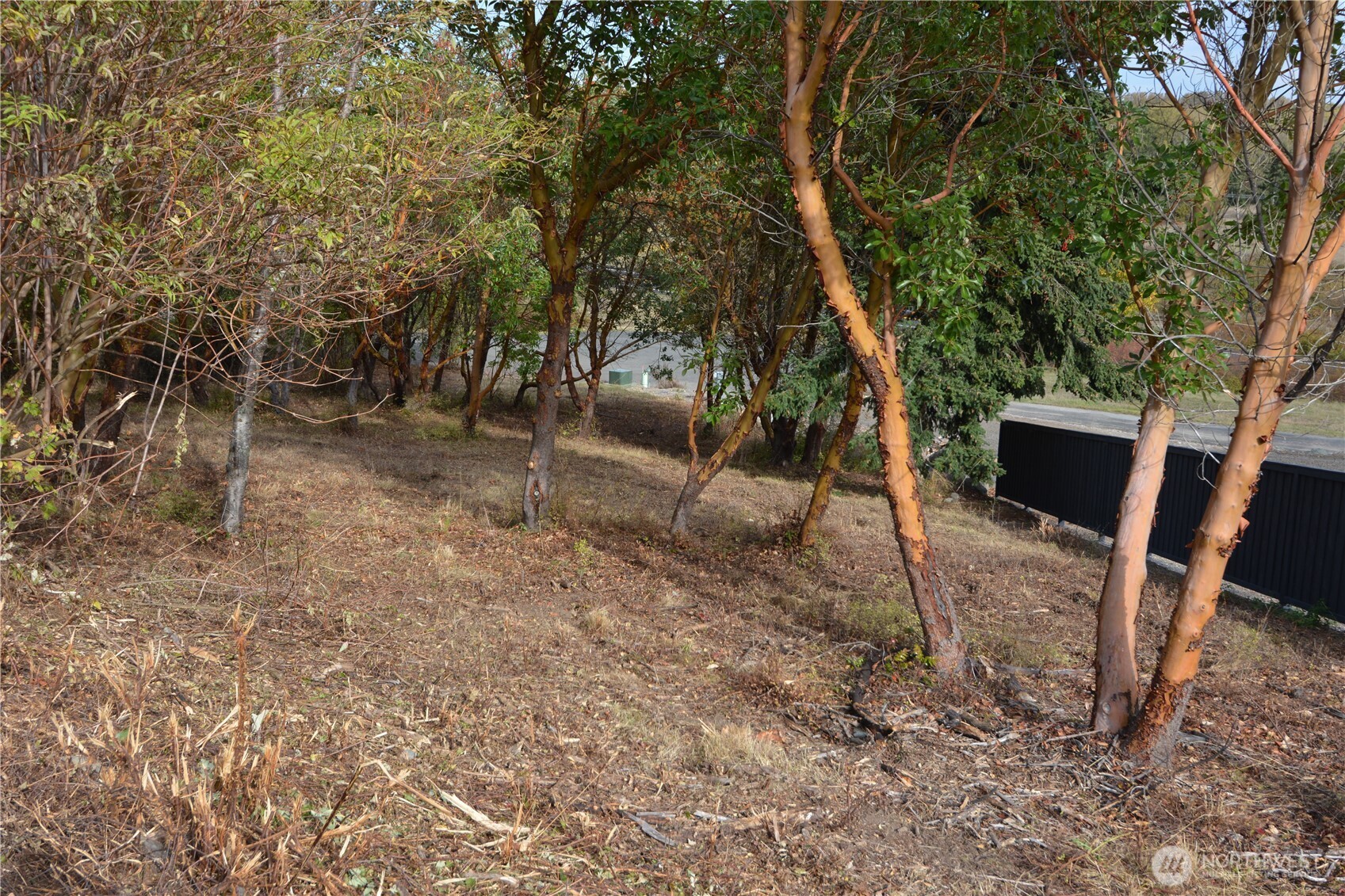 999 Moonlight Drive Sequim, WA 98382 - Photo 3 of 17 a backyard of a house with table and chairs