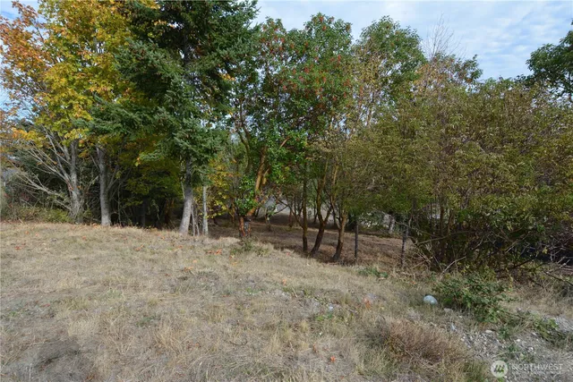 a view of outdoor space and yard