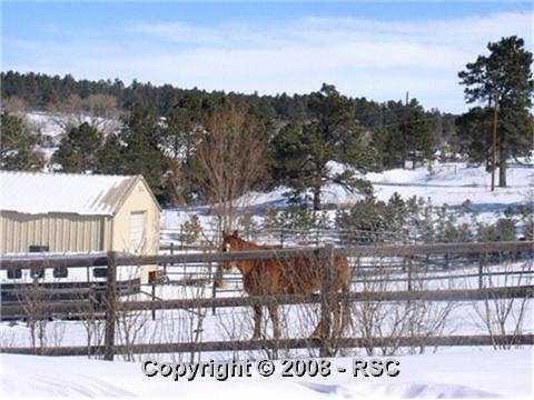 14950 Raton Road Colorado Springs, CO 80921 - Photo 5 of 11