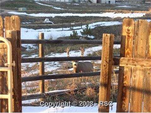 14950 Raton Road Colorado Springs, CO 80921 - Photo 7 of 11