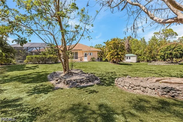 a view of a yard with plants and large trees