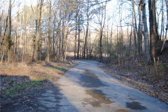 550 Warf Road Charlotte, TN 37036 - Photo 12 of 17 County road leading into the property.