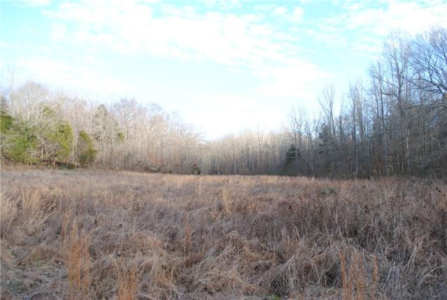 550 Warf Road Charlotte, TN 37036 - Photo 15 of 17 Lower field