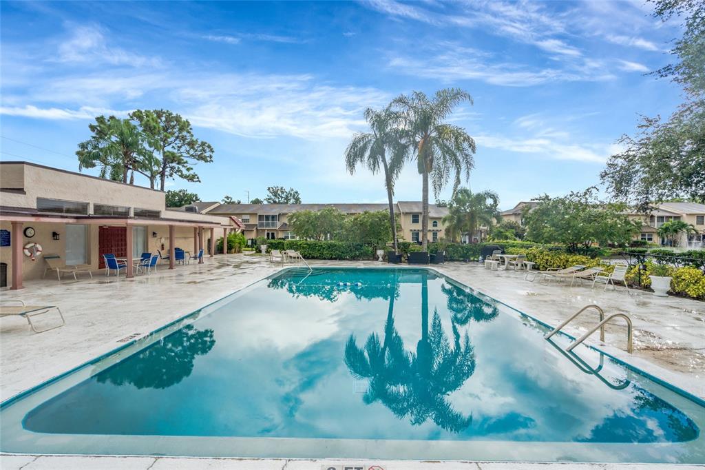 9700 Starkey Road, Unit 113 Seminole, FL 33777 - Photo 29 of 38 Gallery Image 29