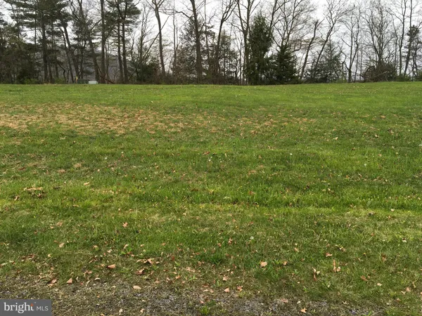 a view of a grassy field with trees