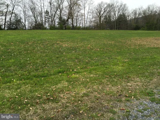 a view of a grassy field with trees in the background