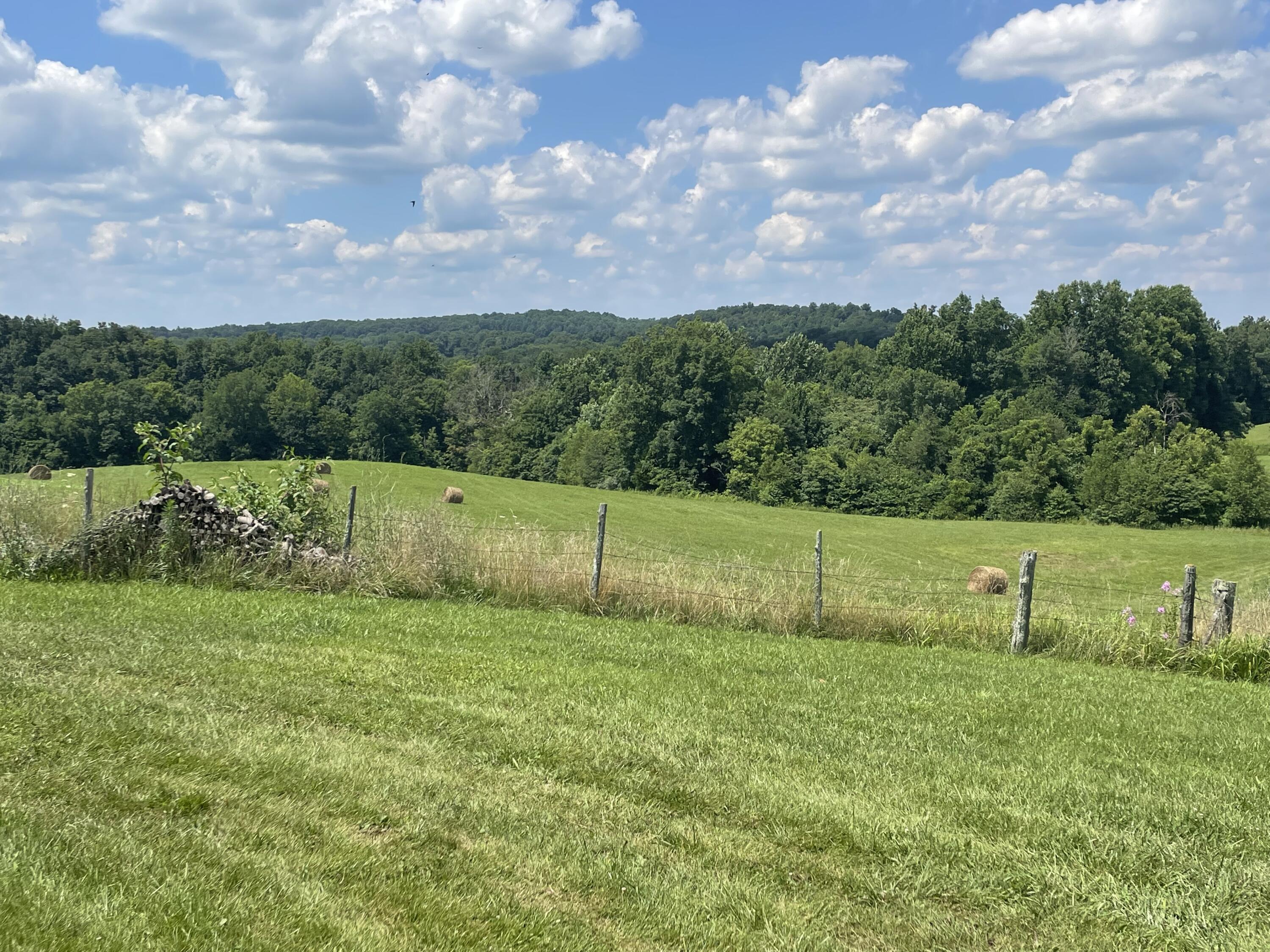 850 East Langdon Road Science Hill, KY 42553 - Photo 9 of 58 0D8489D1-5FC8-49FD-A785-4402639065D9