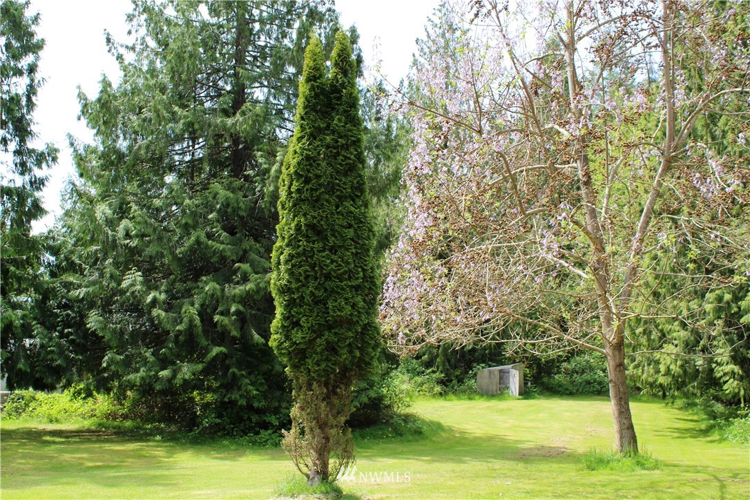 6127 Grandview Road Arlington, WA 98223 - Photo 17 of 18 Gallery Image 17