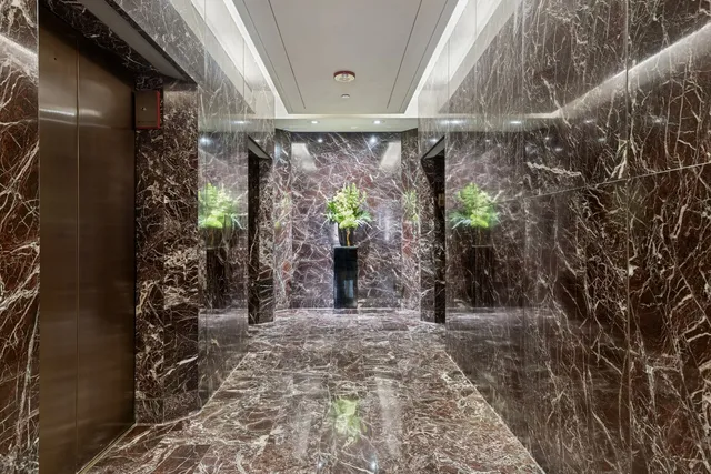 a view of path along with trees