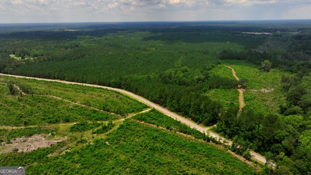0 Highway 204 & Carlos Cowart Road Pembroke, GA 31321 - Photo 8 of 47