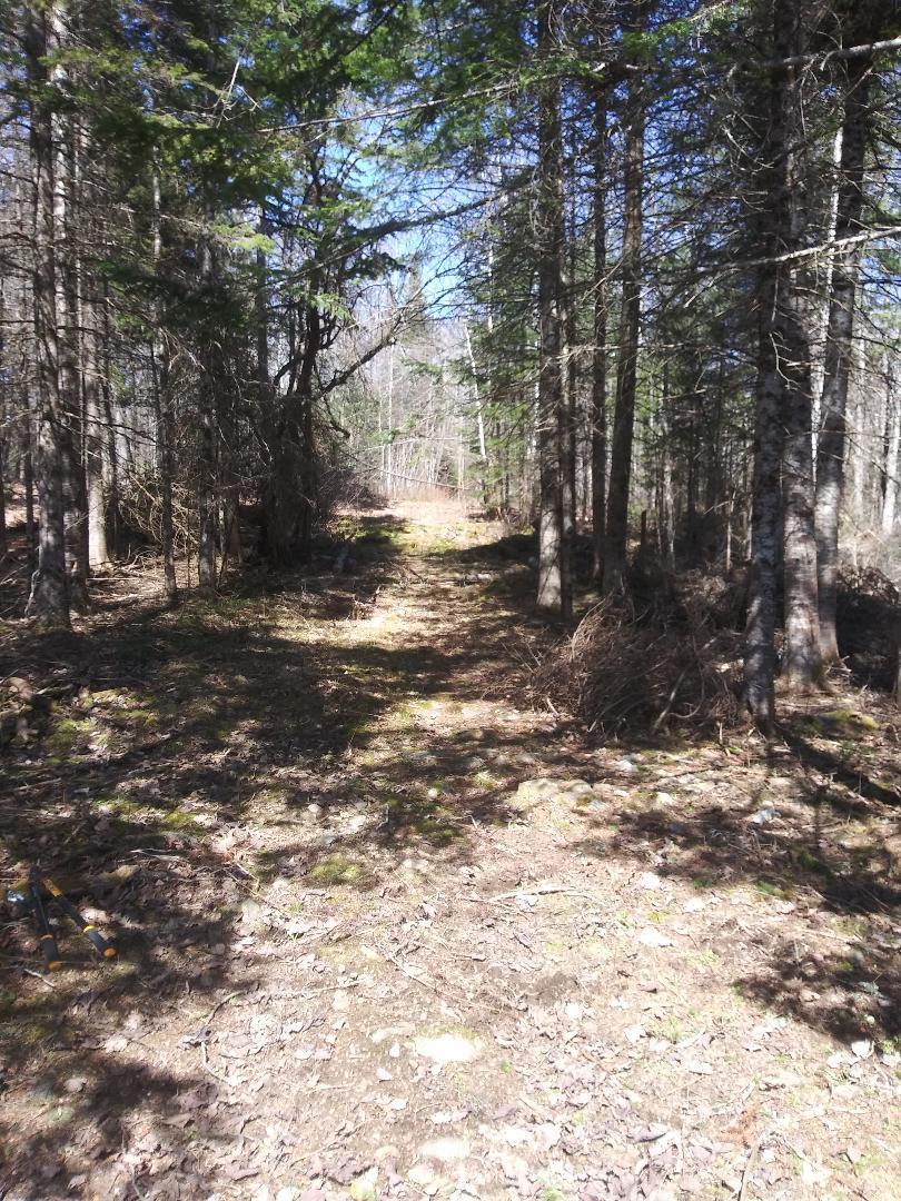 2397 U.S. Rte 2 Smyrna, ME 04780 - Photo 38 of 46 thumbnail (8)