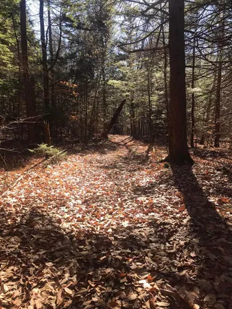 $1,250,000 | 154 Manley Hill Road, West Fairlee, VT 05045