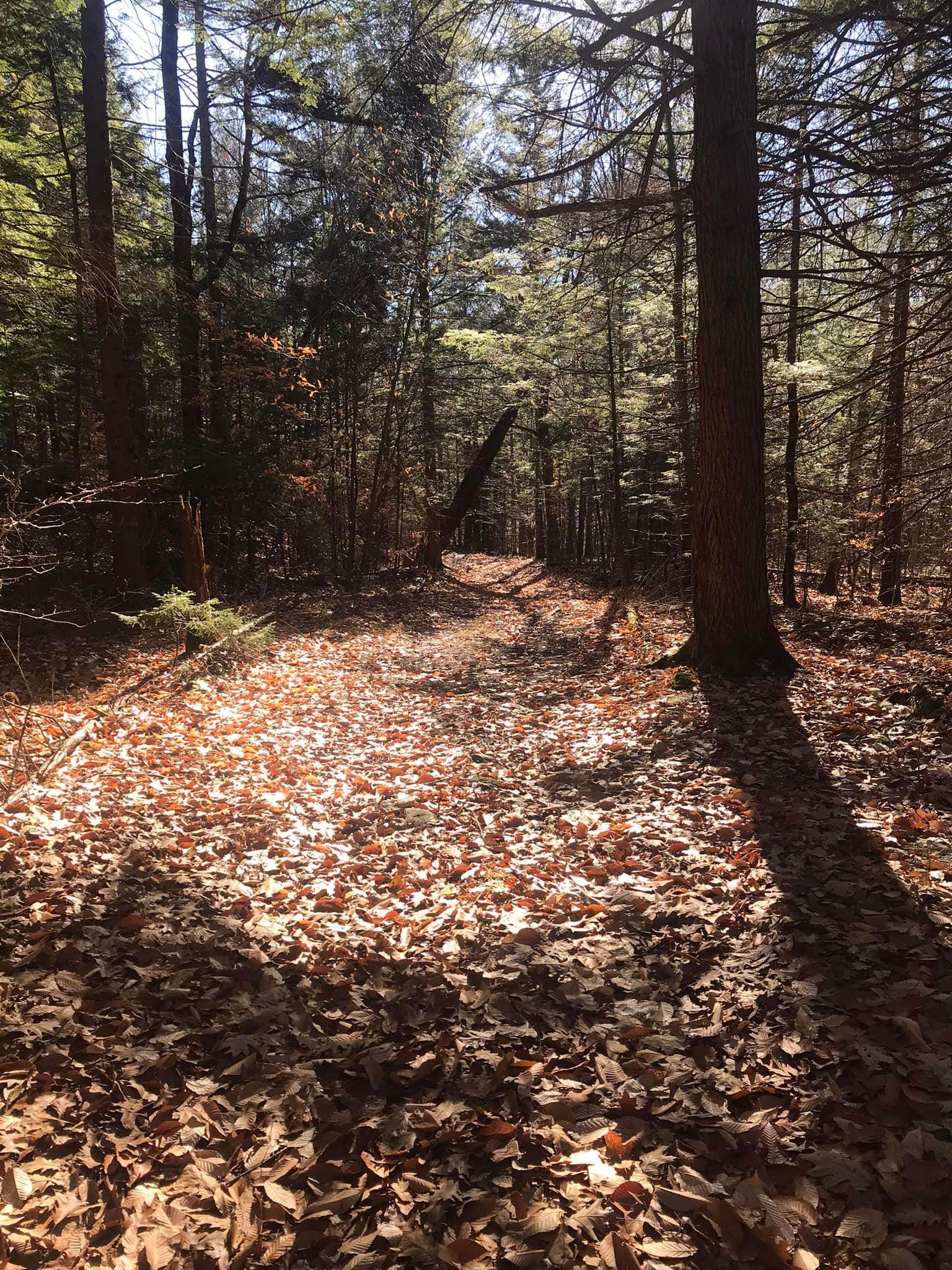 154 Manley Hill Road West Fairlee, VT 05045 - Photo 55 of 56