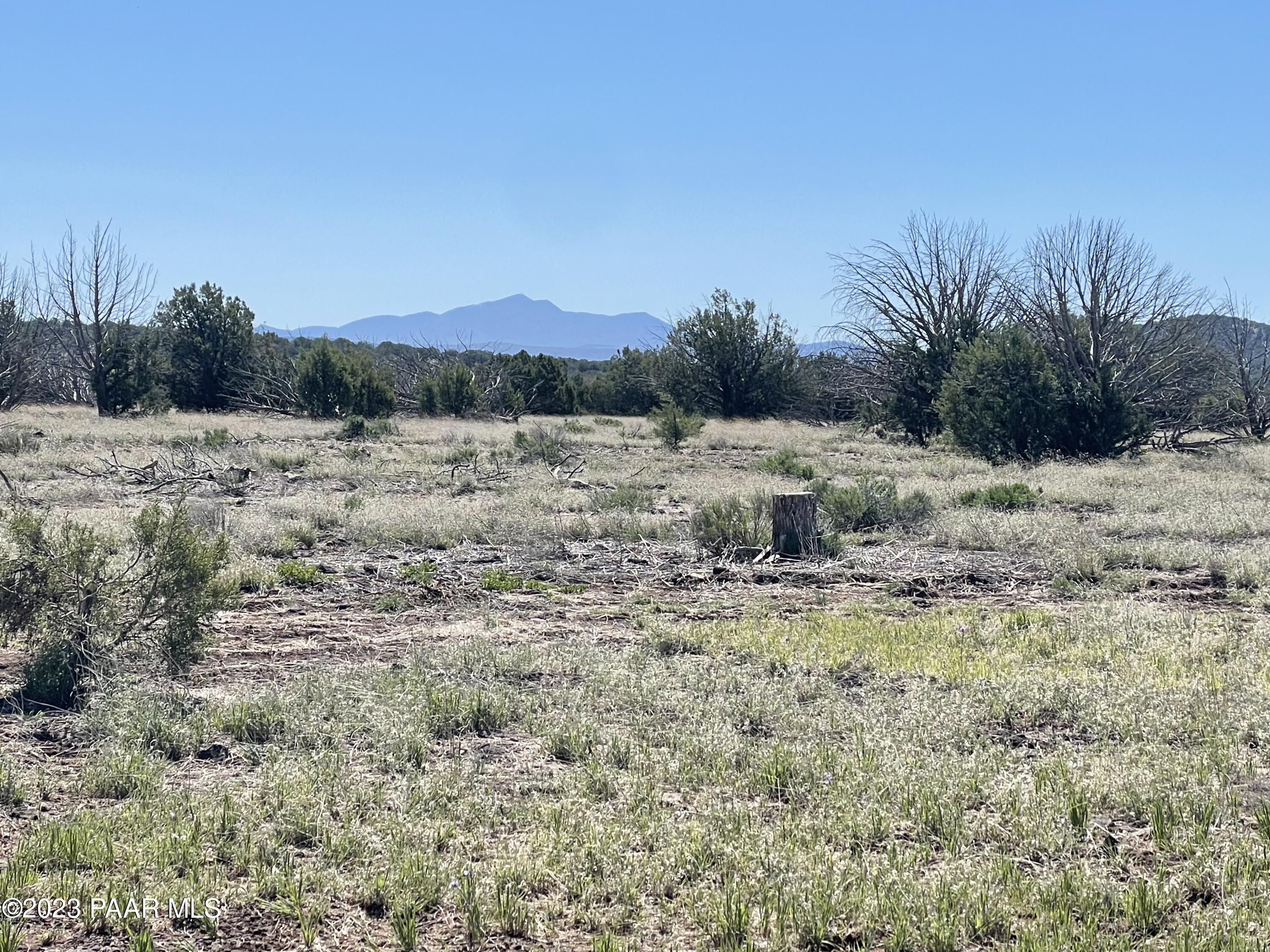 0 Hideaway Road Williams, AZ 86046 - Photo 15 of 22 IMG_6962