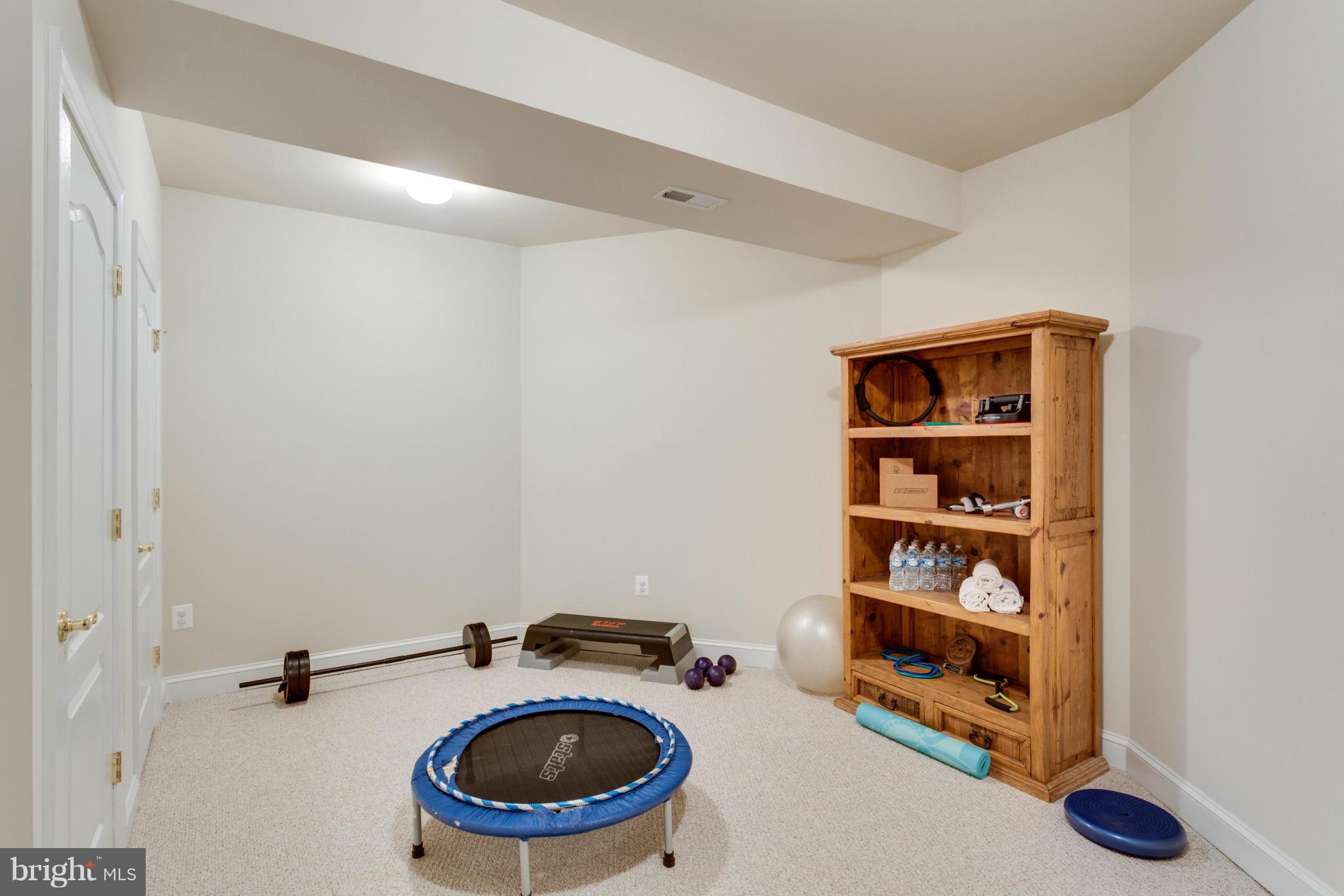 2754 Cody Road Vienna, VA 22181 - Photo 23 of 30 Lower Level Play Rm or Exercise Room