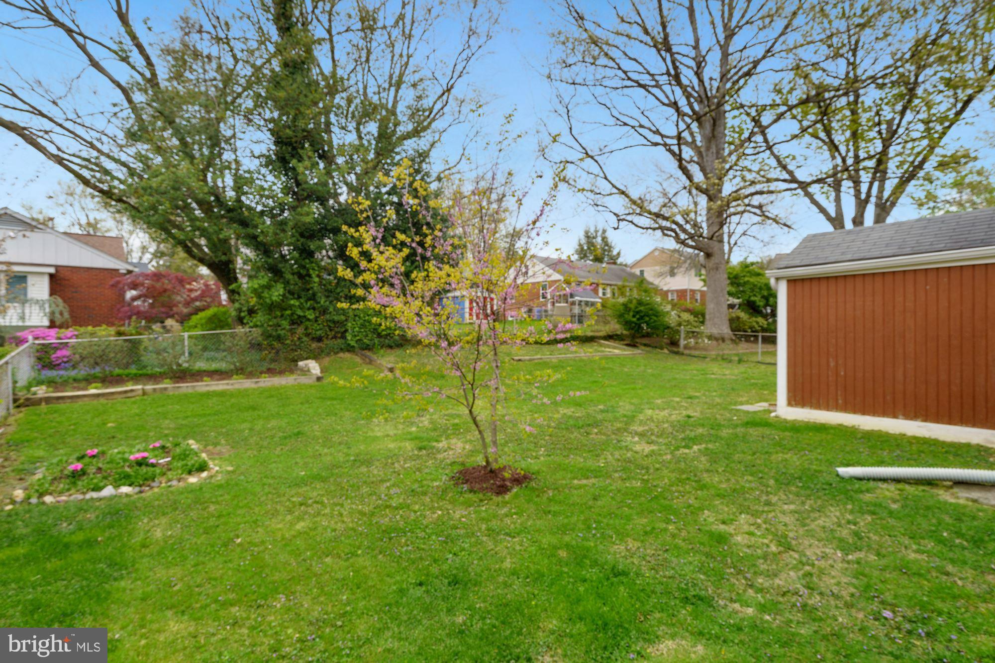 6555 28th Street North Arlington, VA 22213 - Photo 32 of 35