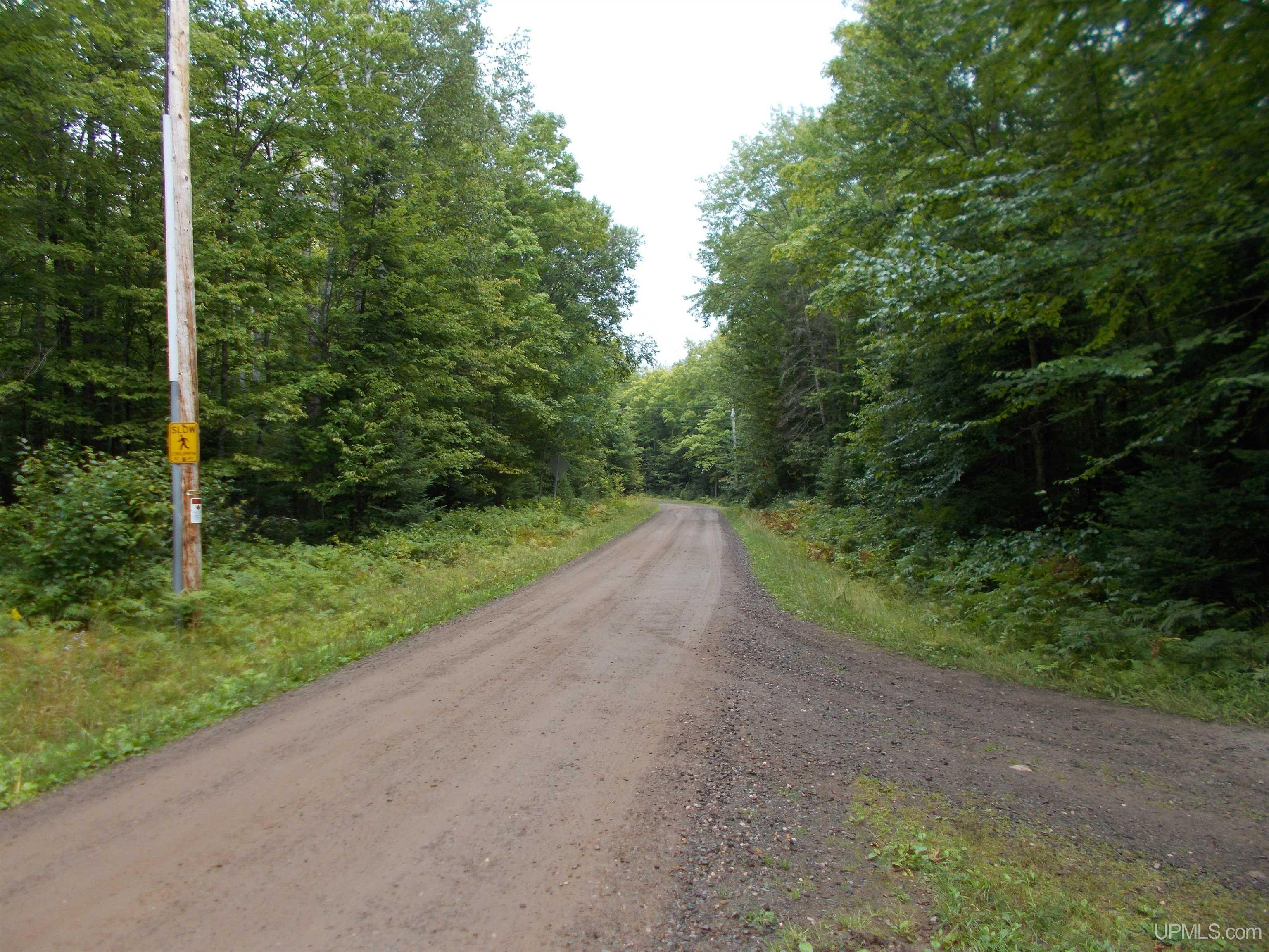 T-wi Turtle Creek Road Florence, WI 54121 - Photo 10 of 10