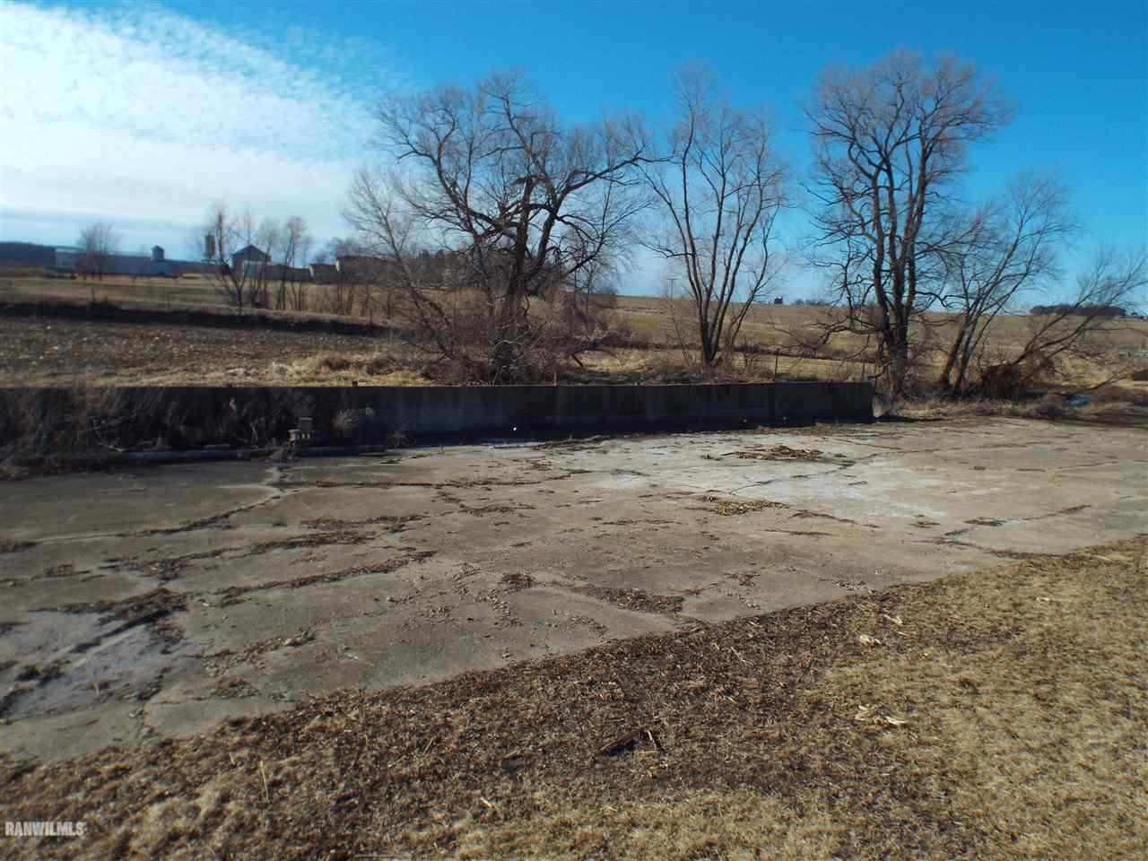 15983 West Cemetery Road Kent, IL 61044 - Photo 17 of 23 a view of a yard with an trees