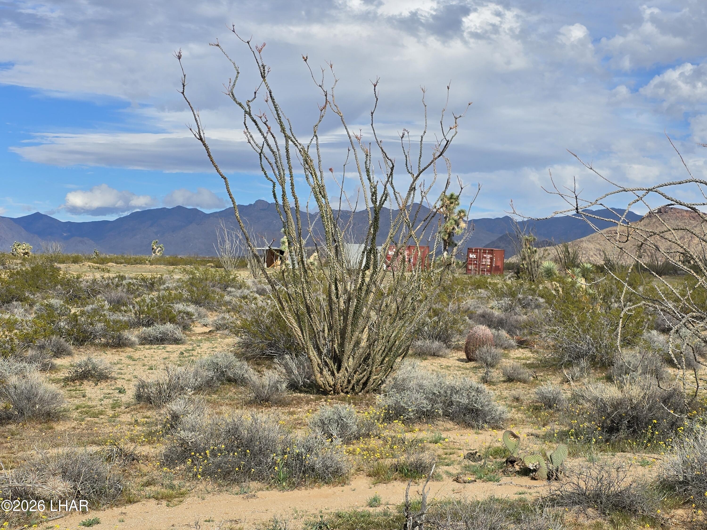 3412 South Lone Ranger Road Yucca, AZ 86438 - Photo 17 of 18 a view of a yard