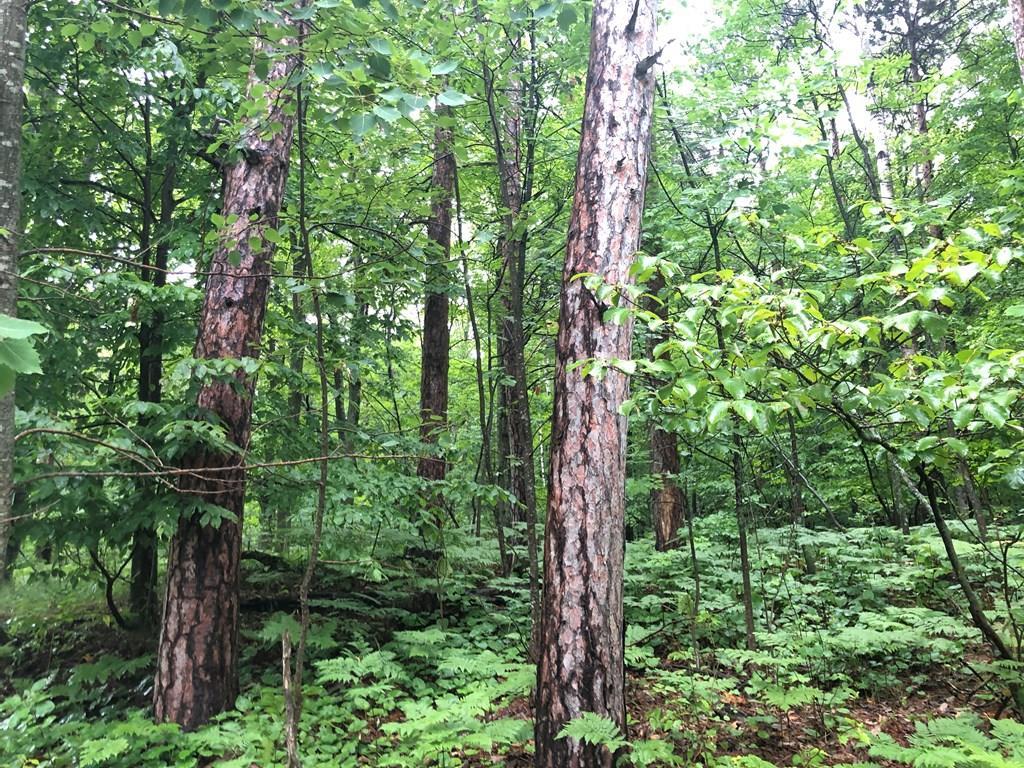 F1-d2 Timber Ridge Road Sturgeon Bay, WI 54235 - Photo 20 of 22